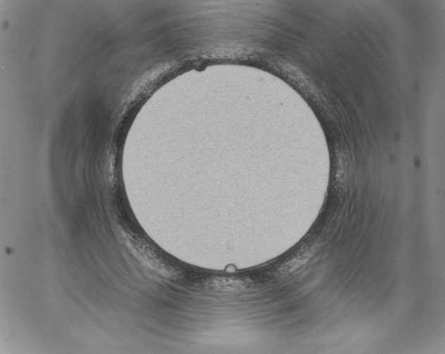 X0000066960636200604211842