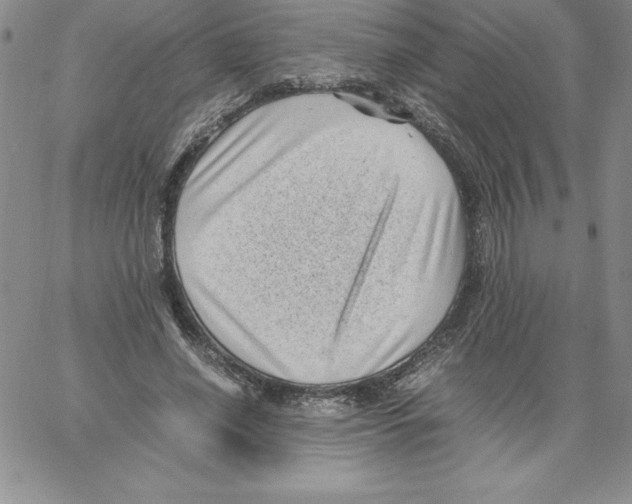 X0000066960638200604211842