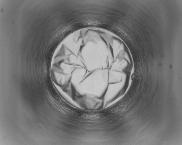 X0000066960639200604211842