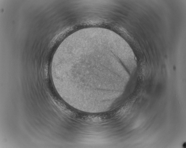 X0000066960640200604211842