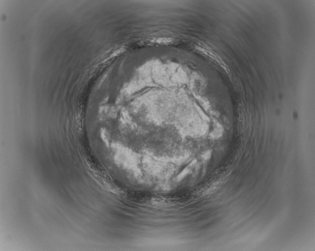 X0000066960641200604211842