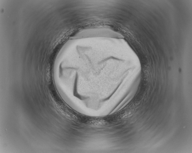 X0000066960642200604211842