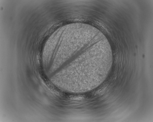 X0000066960643200604211842