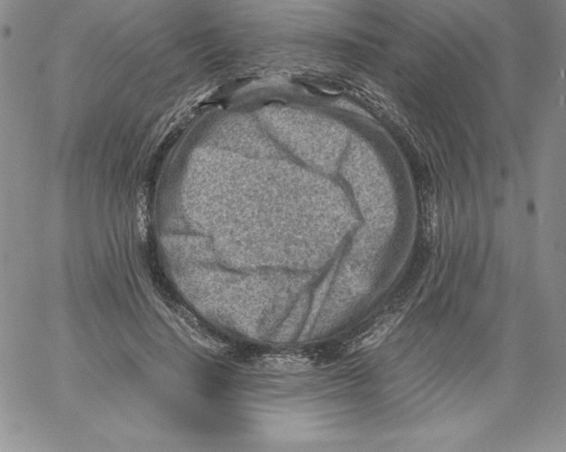 X0000066960644200604211842