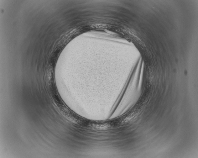 X0000066960645200604211842