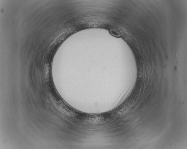 X0000066960646200604211842