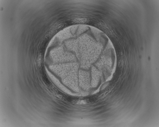 X0000066960647200604211842