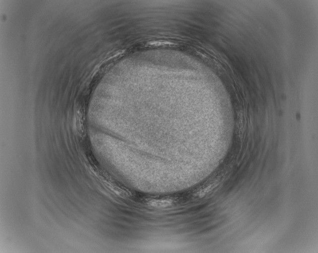 X0000066960653200604211842