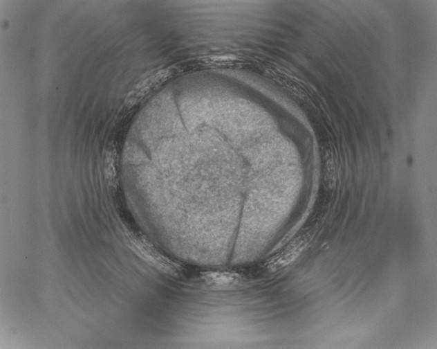 X0000066960654200604211842