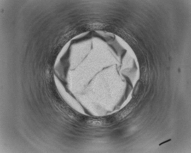 X0000066960655200604211842