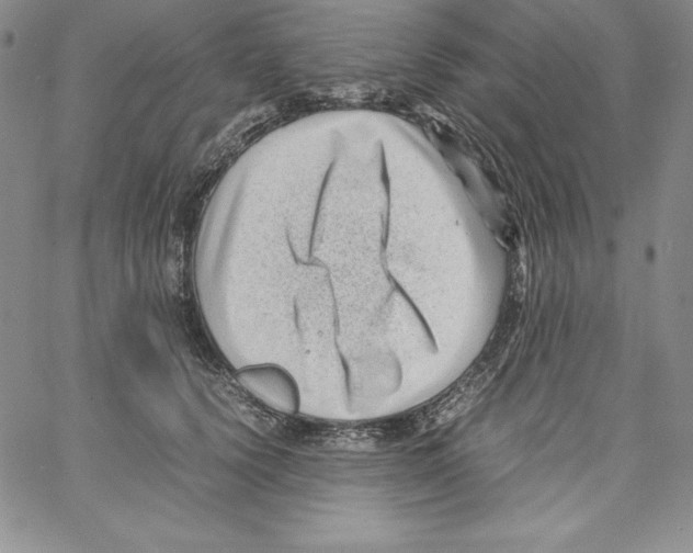 X0000066960656200604211842