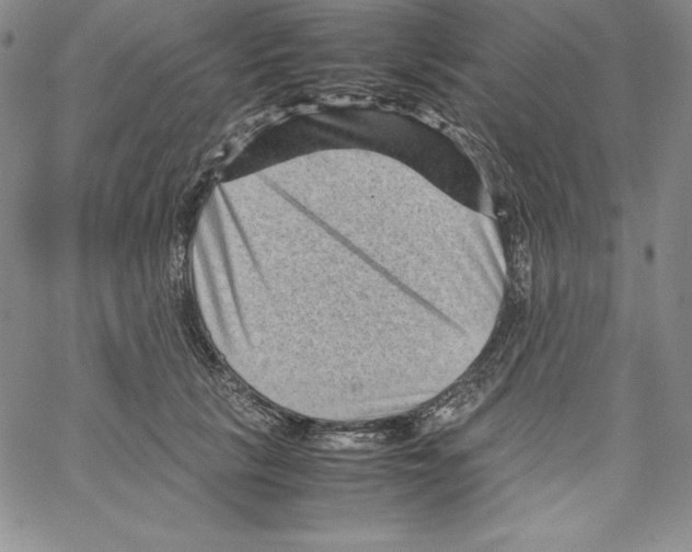 X0000066960657200604211842