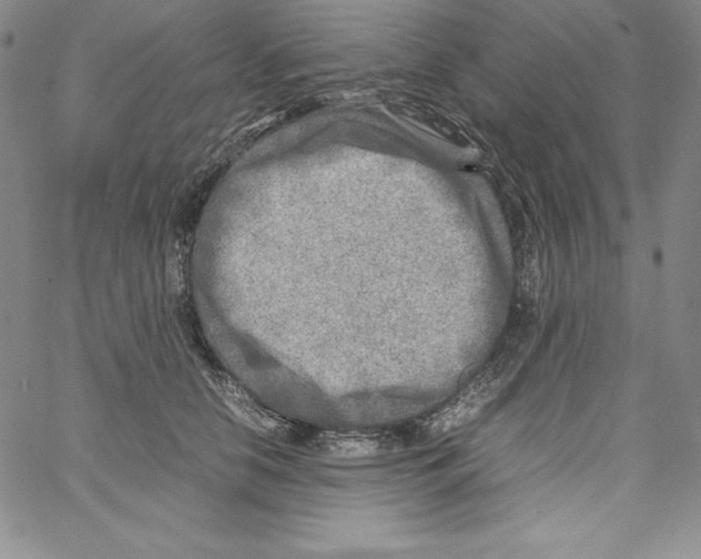 X0000066960658200604211842