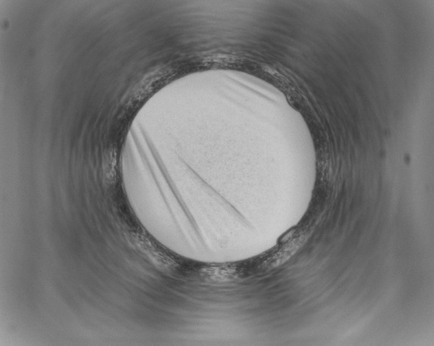 X0000066960660200604211842