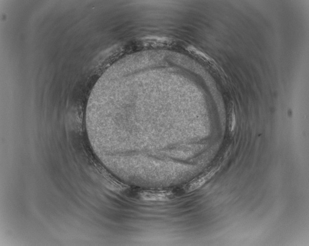 X0000066960661200604211842