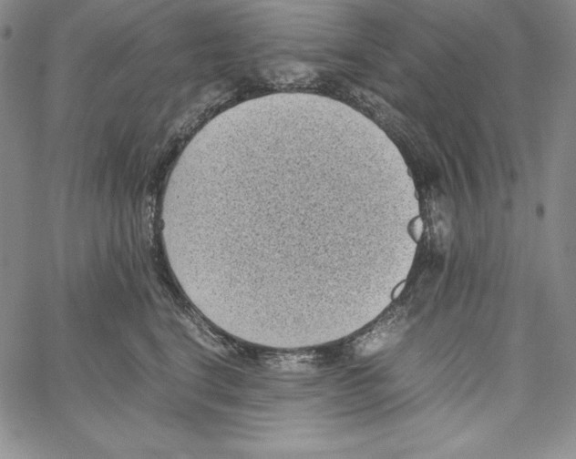 X0000066960664200604211843