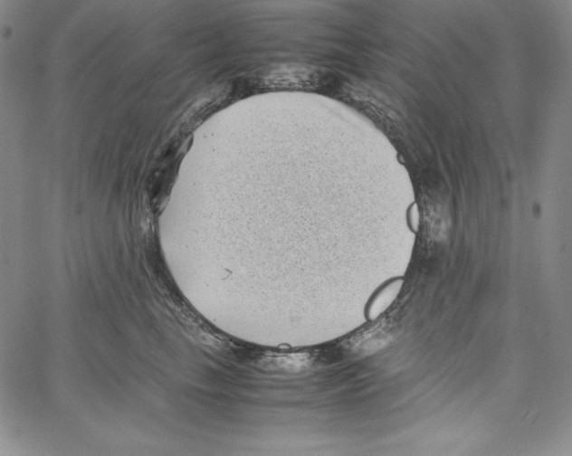 X0000066960665200604211843