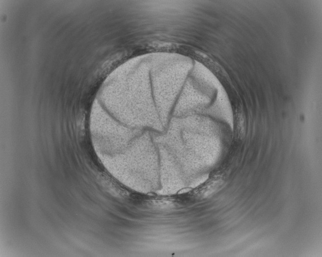 X0000066960668200604211843