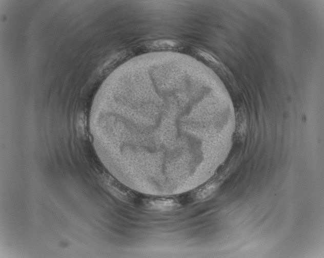 X0000066960669200604211843