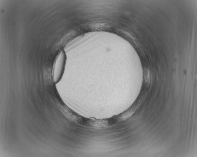 X0000066960670200604211843