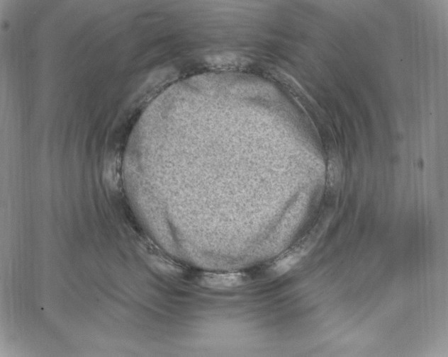 X0000066960671200604211843