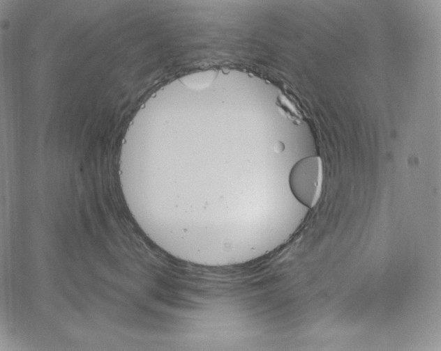 X0000066960672200604211843