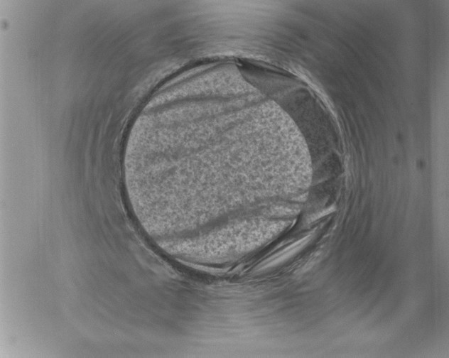 X0000066960673200604211842