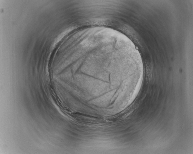 X0000066960674200604211842