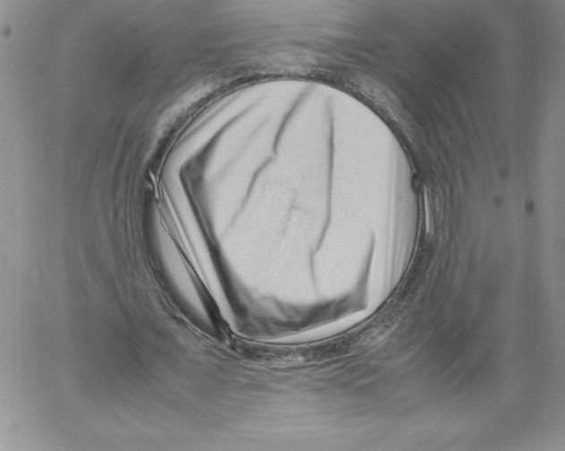 X0000066960675200604211842