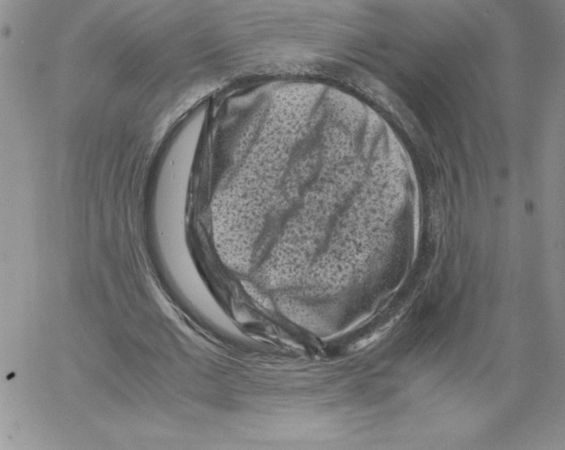 X0000066960677200604211842