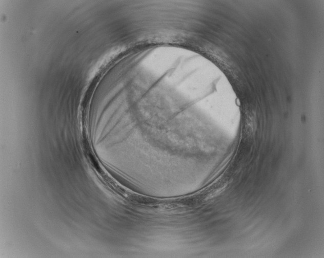 X0000066960678200604211842