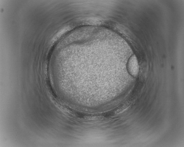 X0000066960679200604211842