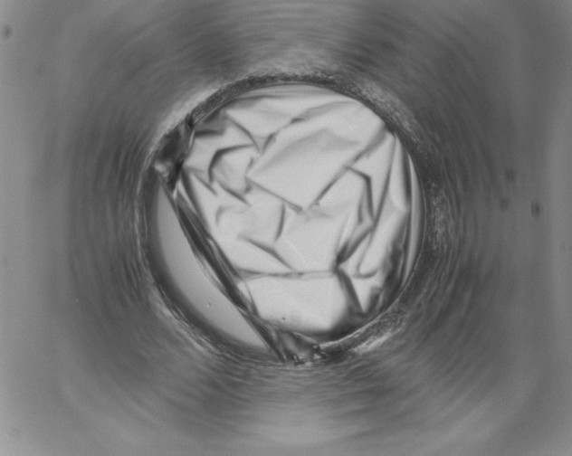 X0000066960680200604211842