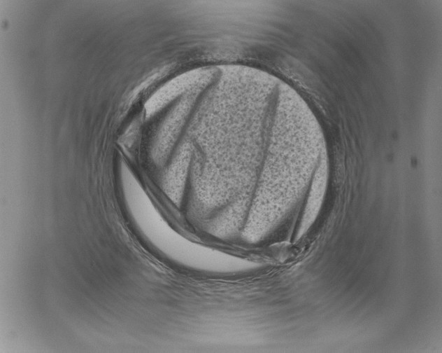 X0000066960681200604211842