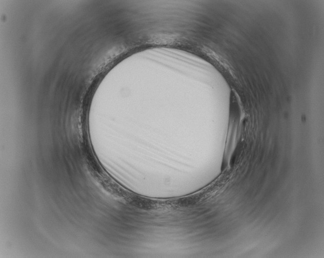 X0000066960682200604211842