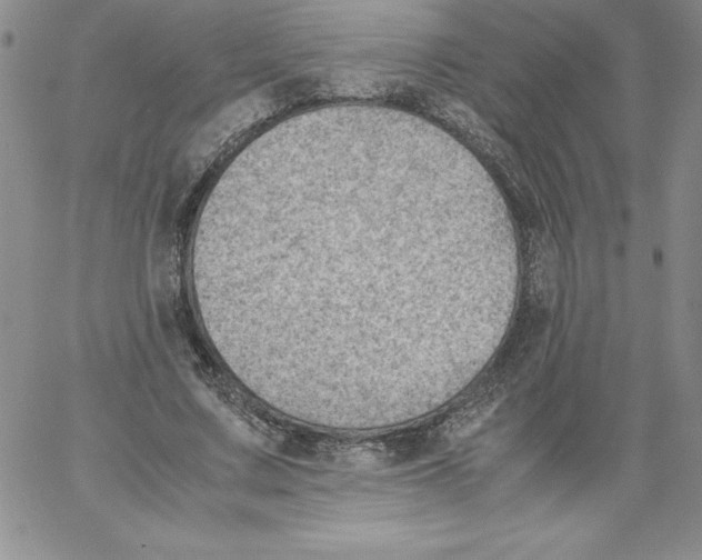 X0000066960683200604211842