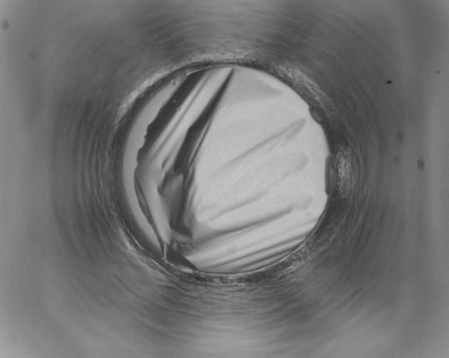 X0000066960684200604211842