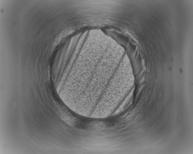 X0000066960685200604211842