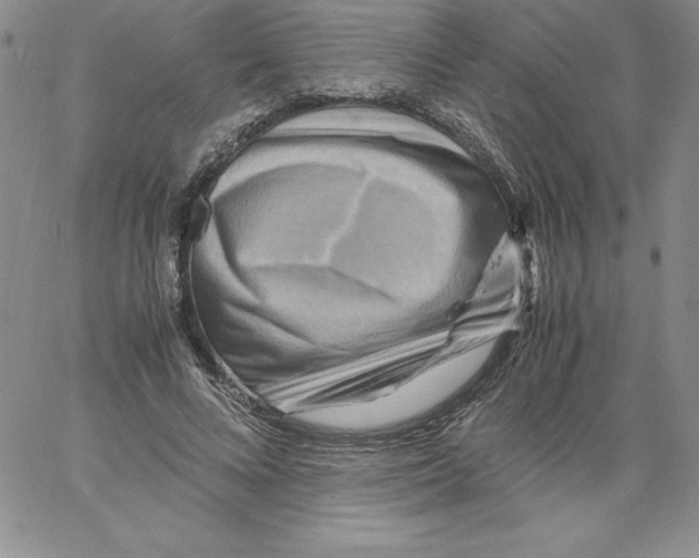 X0000066960688200604211842