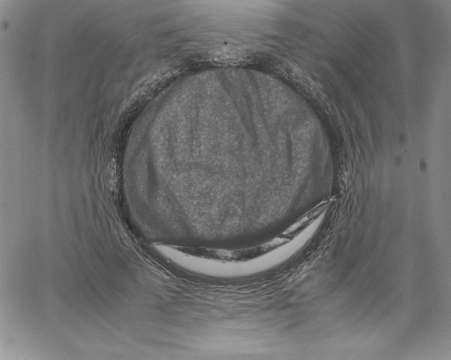 X0000066960689200604211842