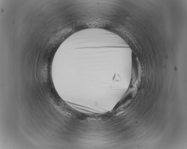 X0000066960690200604211842