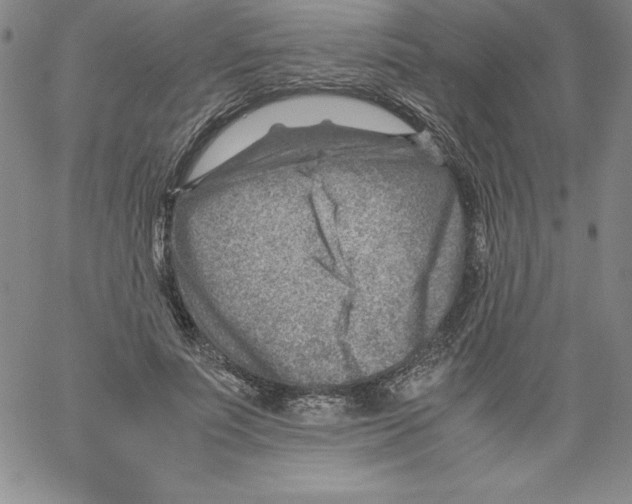 X0000066960691200604211842