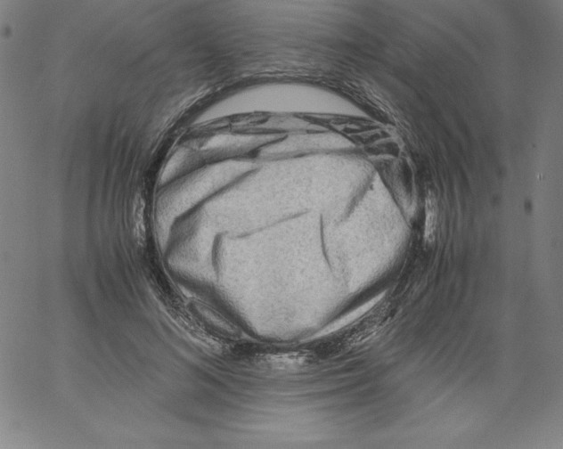 X0000066960692200604211842