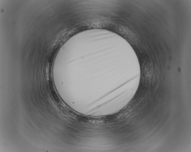 X0000066960694200604211842