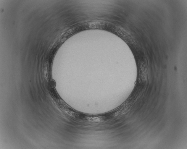 X0000066960698200604211841