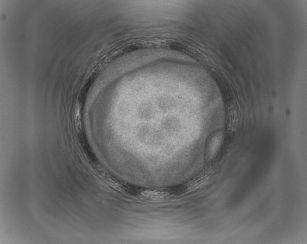 X0000066960699200604211841