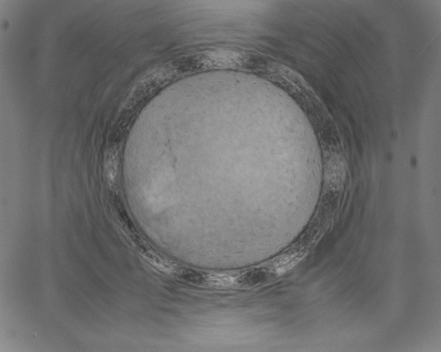 X0000066960701200604211841