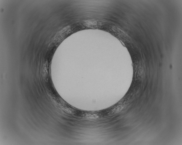 X0000066960702200604211841