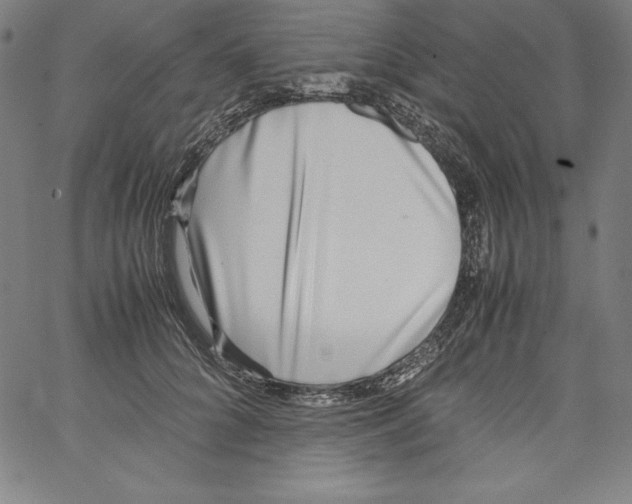 X0000066960704200604211841