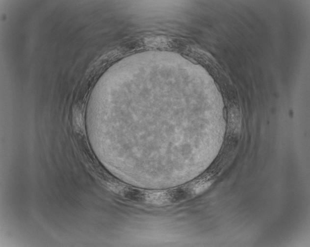 X0000066960705200604211841